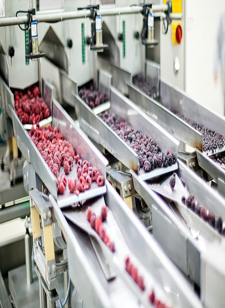Cynertia Electric and Control Inc in Saskatoon provides industrial automation solutions and services to food industry