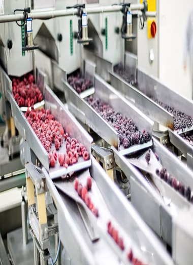 food processing Cynertia Electric and Control Inc in Saskatoon provides industrial automation solutions and services to food industry